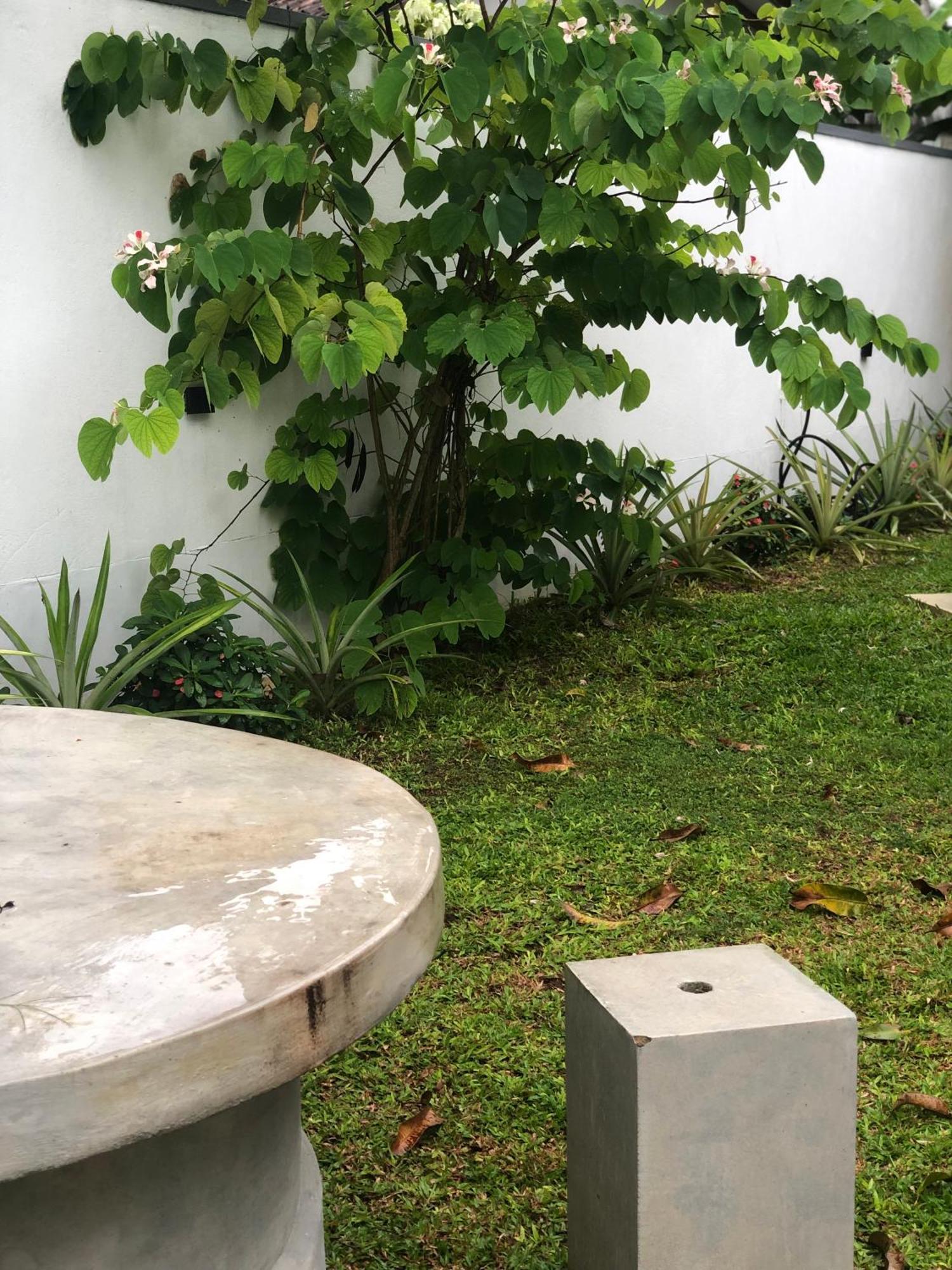 Luvi'S Villa ガル エクステリア 写真