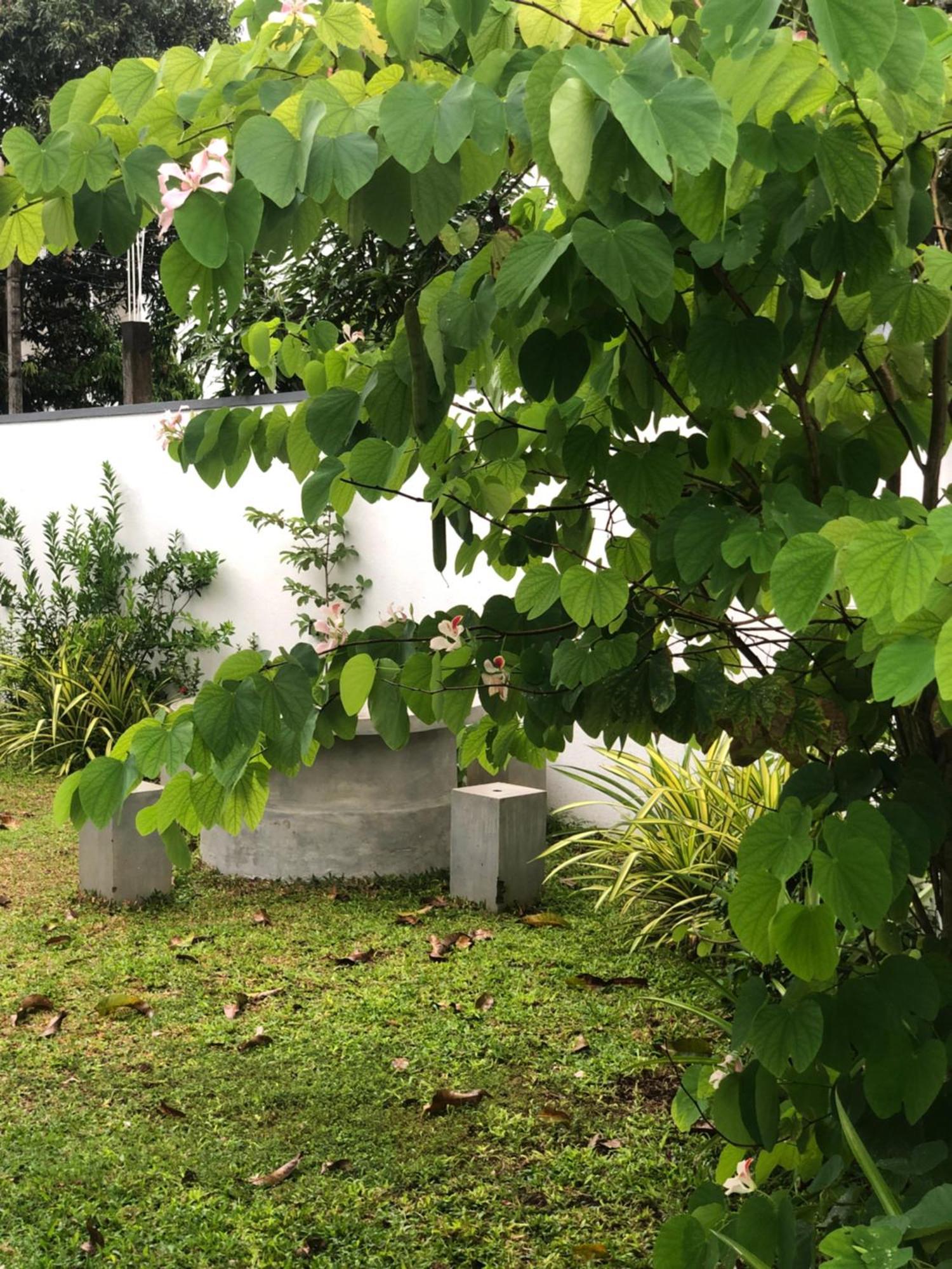 Luvi'S Villa ガル エクステリア 写真
