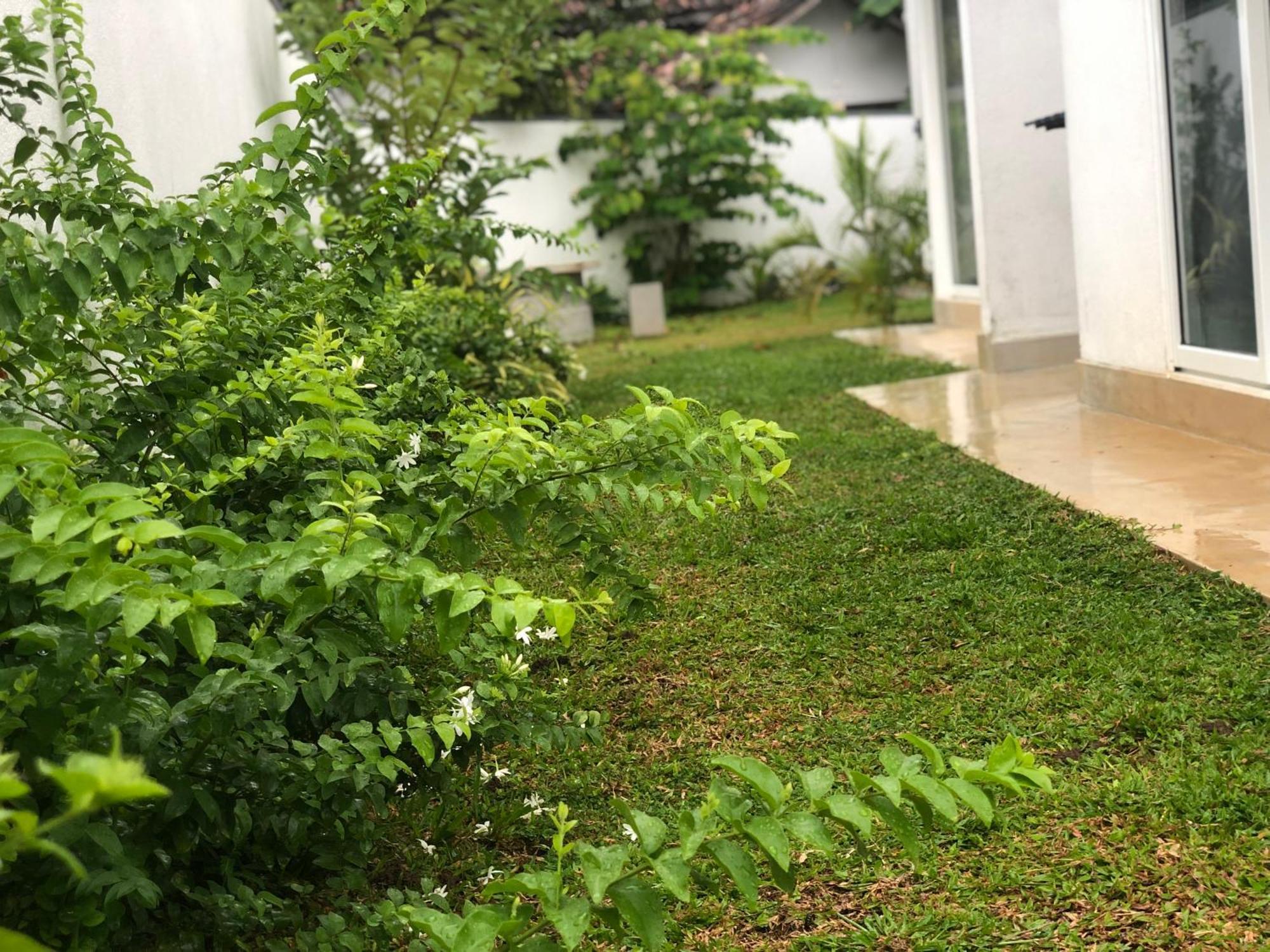 Luvi'S Villa ガル エクステリア 写真